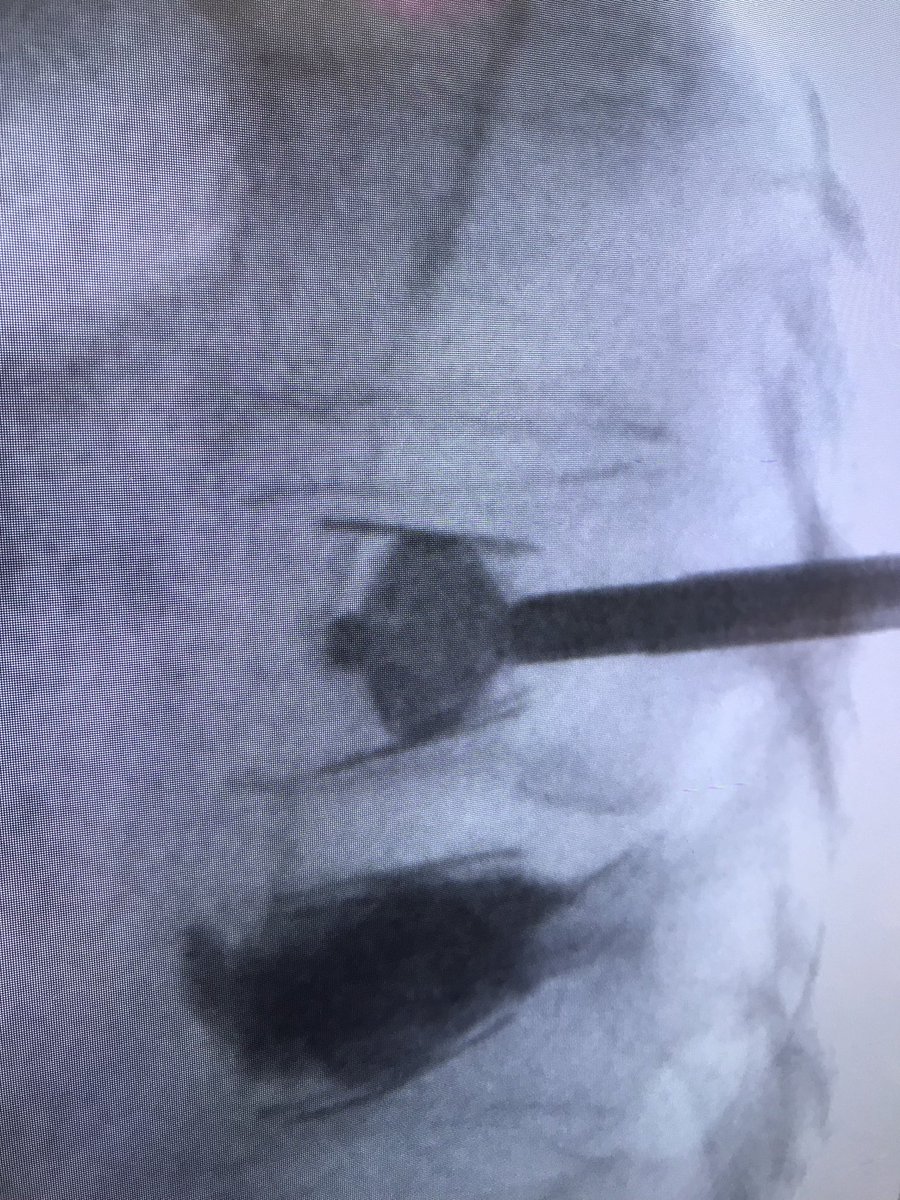 Douglas Beall tweet media