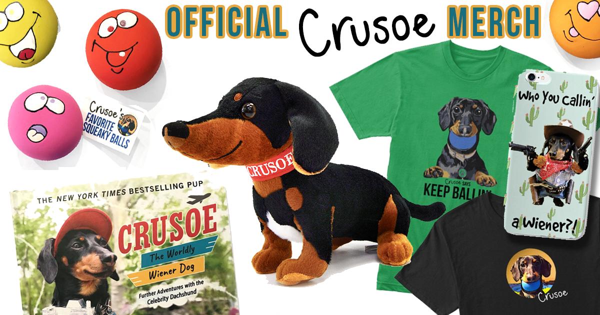 crusoe squeaky ball