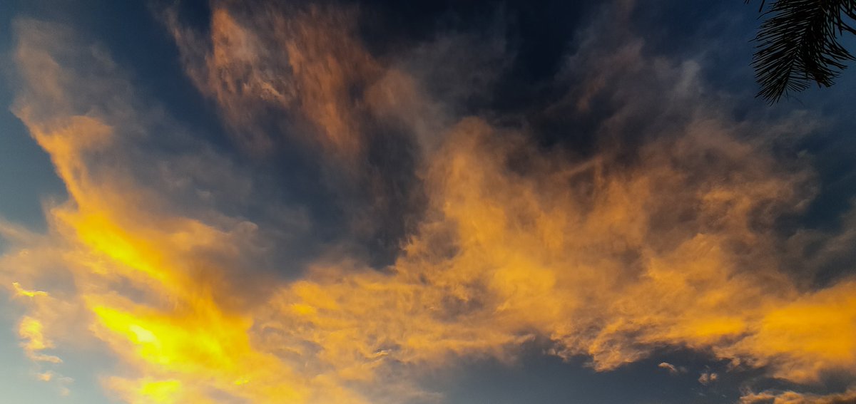 CD_Musgrave's tweet photo. #EndOfThe day. Another God painting for us. #Centurion #Sunset🌤 https://t.co/2OsahkZAqN