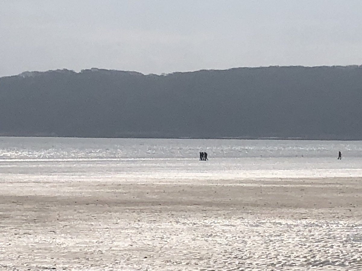 coleygirl66's tweet image. My Soul has been Soothed. I
Spent the day Walking on these Magnificent Beaches and Coastal Paths. I’m Shattered, but also Reminded What a Wonderful World this is and how lucky I am to have this on my Doorstep. Helps you gain Perspective😊.
#oxwichbay #threecliffsbay 
#thegower