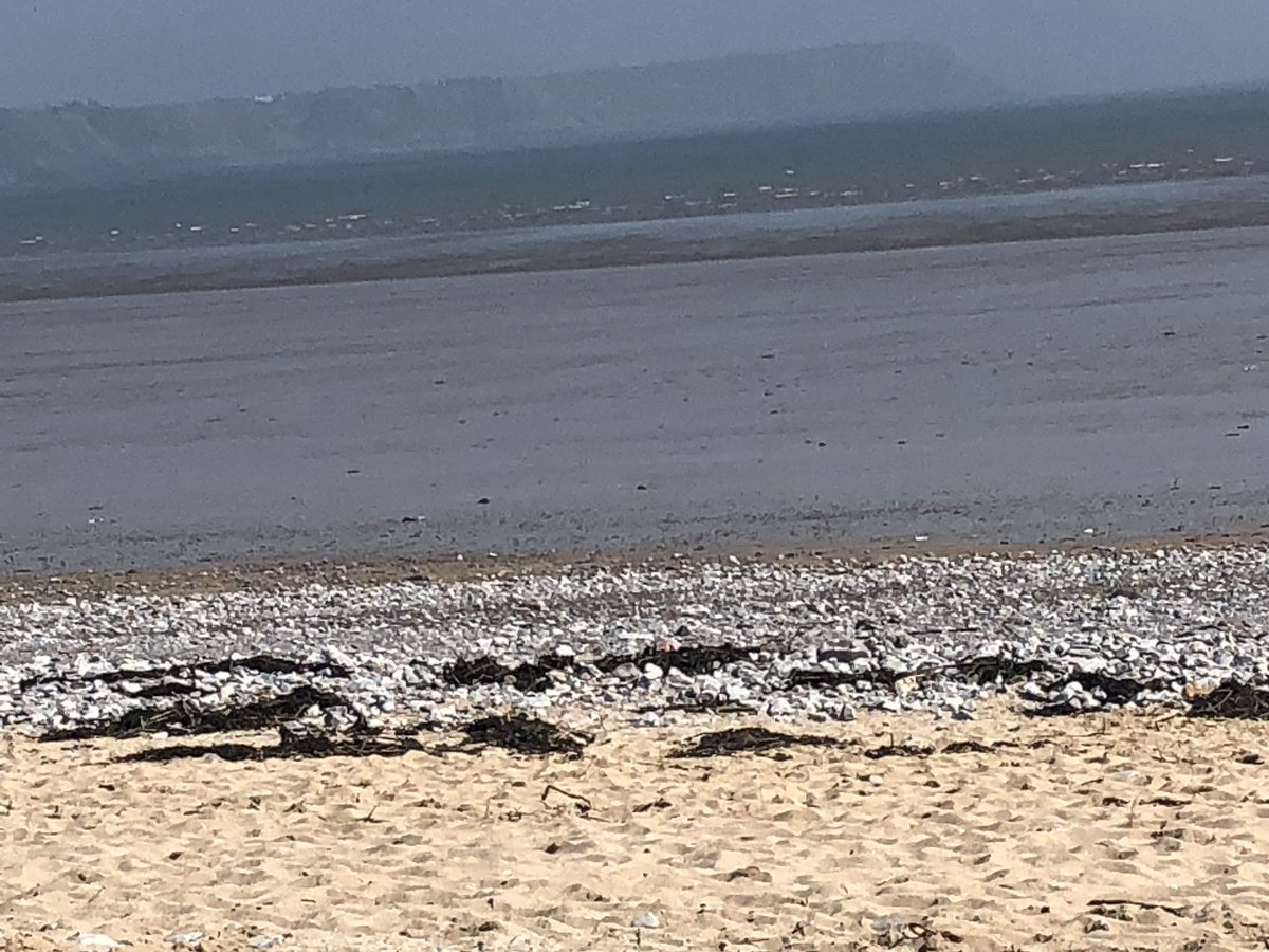 coleygirl66's tweet image. My Soul has been Soothed. I
Spent the day Walking on these Magnificent Beaches and Coastal Paths. I’m Shattered, but also Reminded What a Wonderful World this is and how lucky I am to have this on my Doorstep. Helps you gain Perspective😊.
#oxwichbay #threecliffsbay 
#thegower