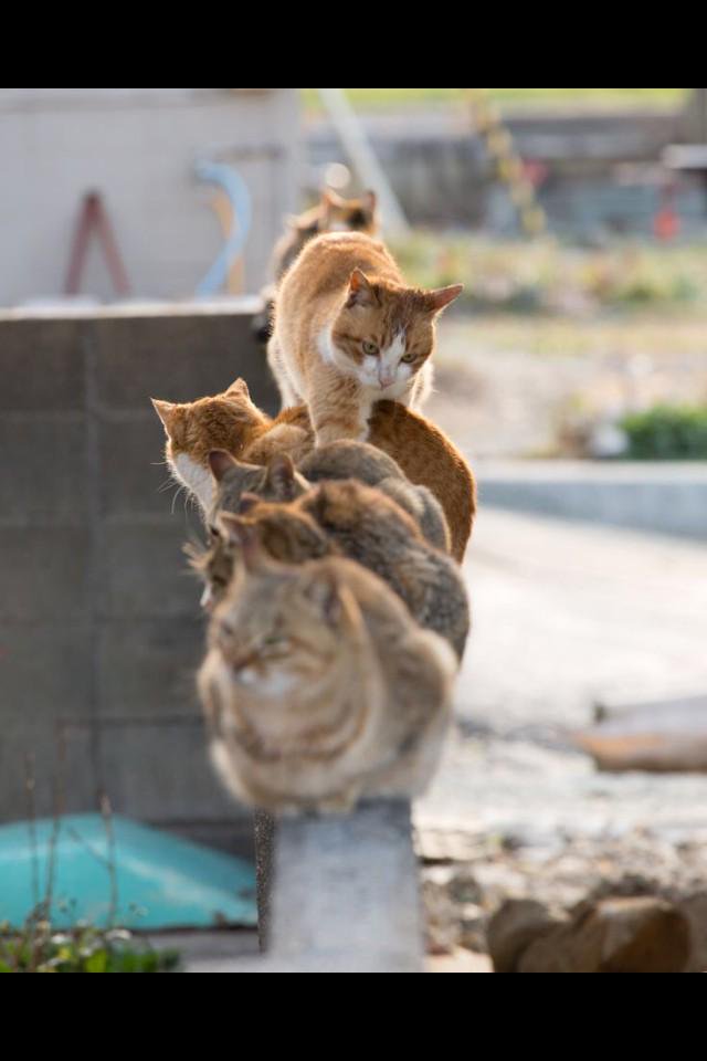 "This rush hour traffic is crazy!"