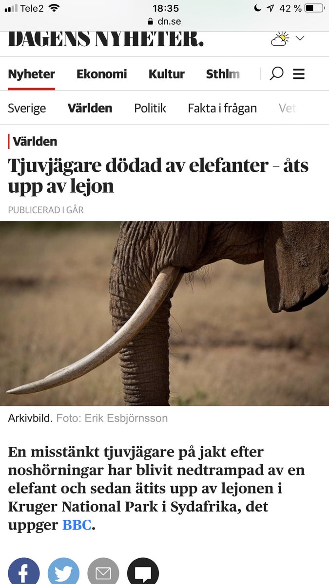 bästa jag har läst idag, ✊🏿