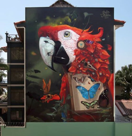DavidBonnand's tweet photo. El Coleccionista, 2019
📍#SanJosé #CostaRica 🇨🇷
by #Dulk1 & #mantrarea ()
#streetart #graffiti #art https://t.co/L4SJNxs30w