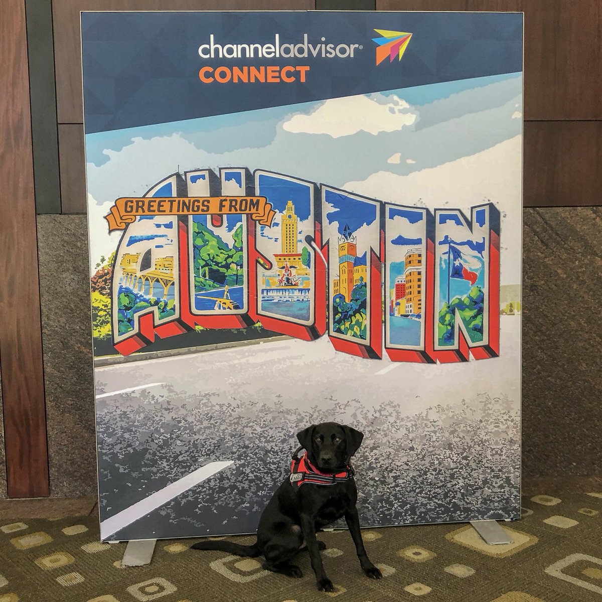 RefundRetriever's tweet photo. And we are HERE! See you soon #ConnectUS19! Refund is excited to meet everyone! @channeladvisor https://t.co/7LoWbS1fol