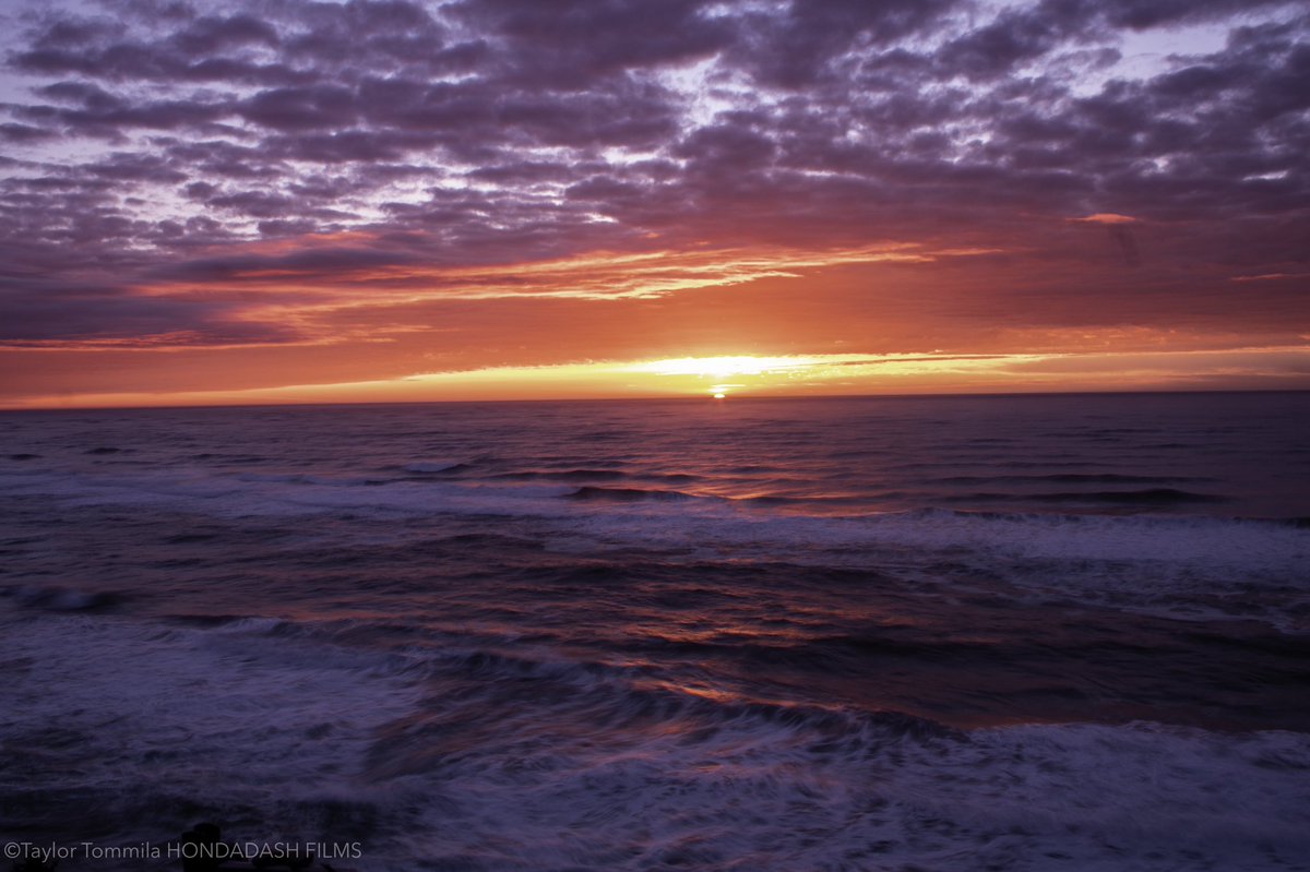 TaylorTommila's tweet photo. I love sunsets #goldenhourphoto #Sunsetphoto #sunsetphotography #canon6D #pnwphotographer #PNW #beachphoto #sea https://t.co/ONEJEji88X