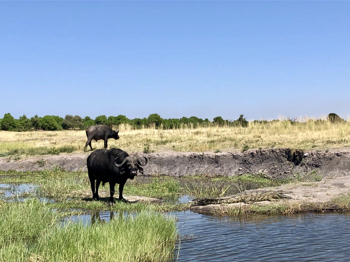 Waterrich Caprivi area in Namibia
#explorenamibia #africa #adventuretime