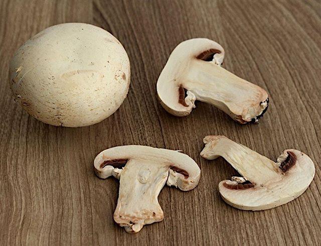 marcaccinis's tweet photo. https://t.co/cZscpCvLEK Ingredientes culinarios. Geniales para ilustrar tu página web, tu blog de recetas, un menú de restaurant. ⠀
⠀
#restaurante #bar #malaga #andalucia #españa # rincondelavictoria #torredelmar #velezmalaga #nerja #fotografiadepro… https://t.co/QmSSZdIXAJ https://t.co/17buU1b5dB