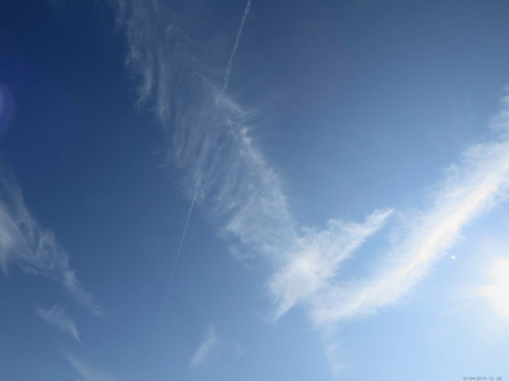beingmyself_25's tweet image. 01.04.2019
#Chemtrails #ArtificialClouds #Skygazer #Skywatcher #SprayedLikeBugs