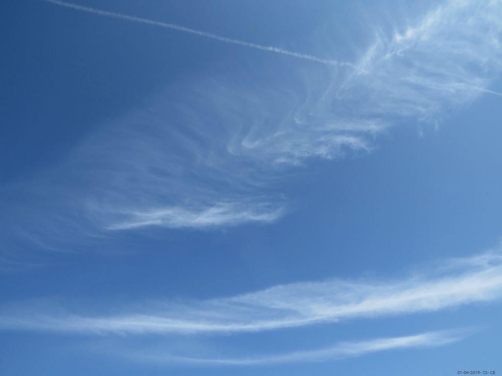beingmyself_25's tweet image. 01.04.2019
#Chemtrails #ArtificialClouds #Skygazer #Skywatcher #SprayedLikeBugs