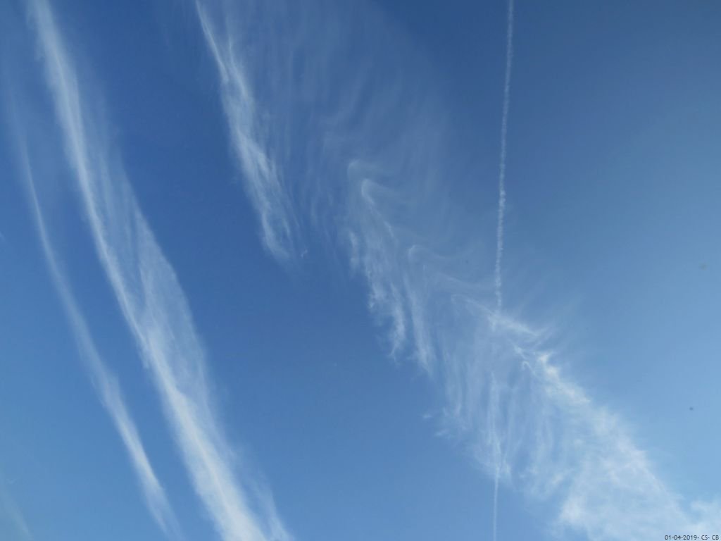 beingmyself_25's tweet image. 01.04.2019
#Chemtrails #ArtificialClouds #Skygazer #Skywatcher #SprayedLikeBugs
