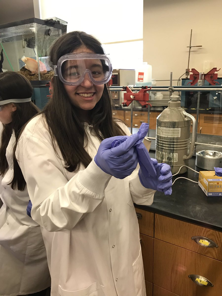 Lily Rodriguez tweet media