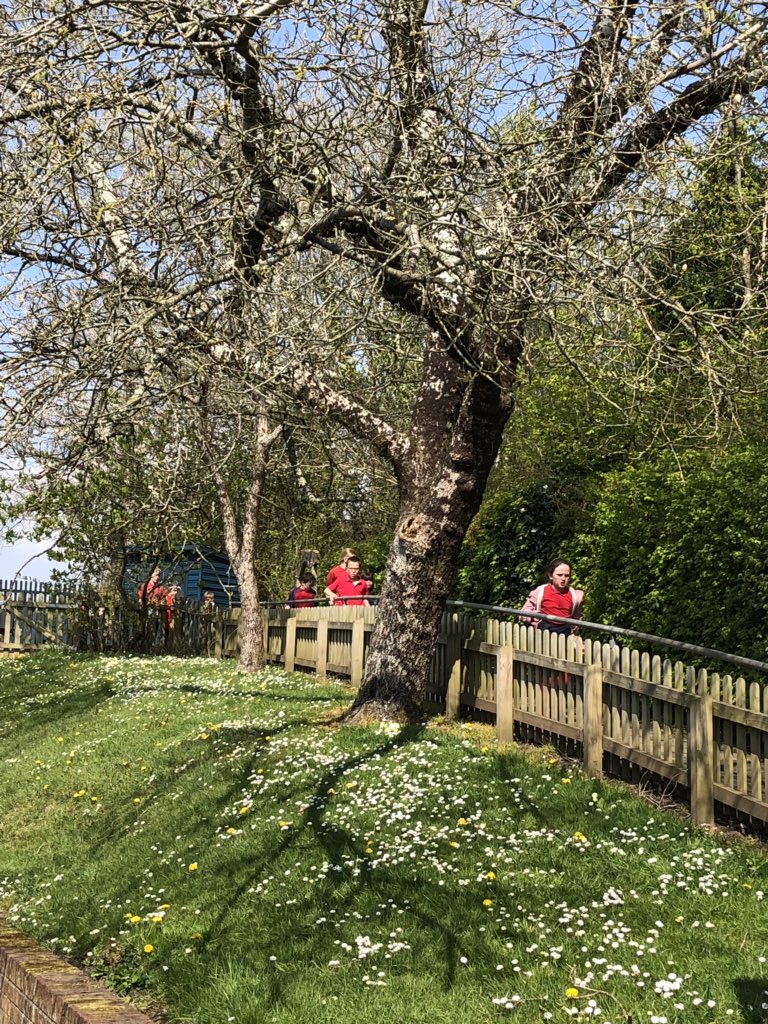 Hendrefoilan's tweet photo. Mae diwrnod perffaith am helfa drysor Pasg. A perfect day for a Easter Egg treasure hunt! #hdfpfun https://t.co/hYq06kINRy