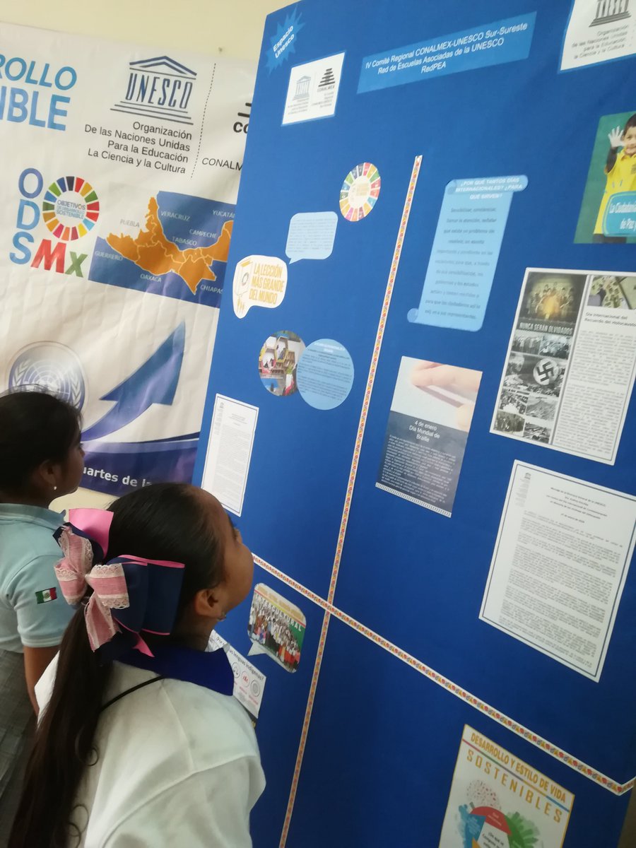 RedPEA Sur-Sureste tweet media