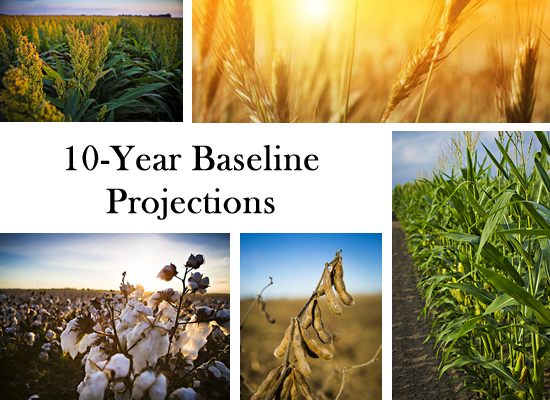FAPRI_MU's tweet photo. It's here! The FAPRI-MU 2019 U.S. Baseline Outlook is now available at https://t.co/GcNjh8qTBe https://t.co/ML9hBsGFaU