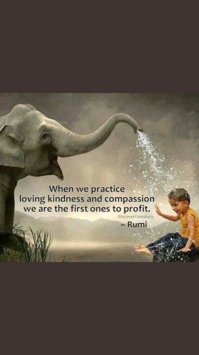 eldiablo0786's tweet photo. @fisheyedmeena @GittePrina @KariJoys @MohdMuzzammilK @LisaTruthJohns @BLAsia_Africa @authindia @Soofinama @sufimusafir @AngelHealingArt @KumariRukshmani @islamhussain055 @MrHusayn @urooj_q @shada_islam @Zeelaf01 @PropitiousOn3 @s_oworld @Pupulmimi @TheSignOfFive @BrarSukhie @zarafshan @MaryamfatimaNa2 @RumiLoveQuotes When we practice loving #kindness and #compassion we are the first ones to profit
#Rumi #Sufiam
#InspireThemRetweetTuesday
#JoyTrain #IQRTG #Love
#LightUpTheLove #LUTL
#MondayMotivation
#GoldenHearts
#ShineOn #ChooseLove
#FamilyTRAIN #StarFishClub #IAMChoosingLove https://t.co/qC6AoK0I51