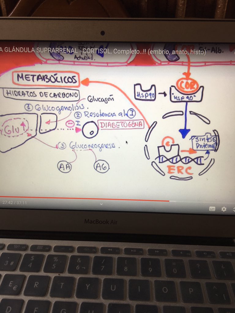 Eduardo Supertramp tweet media