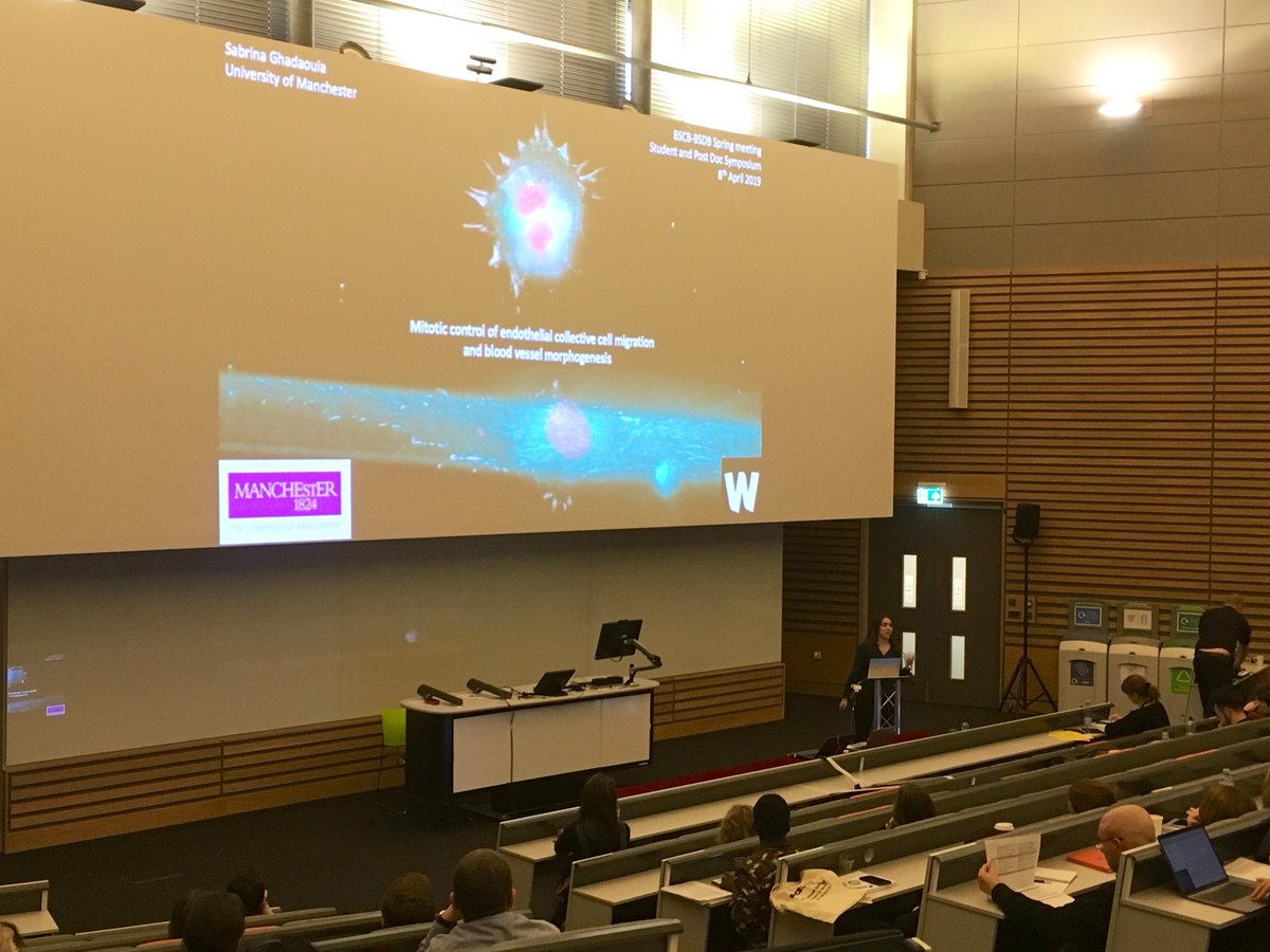 Herbert Lab (@herbertlab) on Twitter photo Our super PhD student <a href="/sabrinaghd/">Dr Sabrina Ghadaouia</a> is here giving a great talk about her work at #CBDB19 Our super PhD student <a href="/sabrinaghd/">Dr Sabrina Ghadaouia</a> is here giving a great talk about her work at #CBDB19