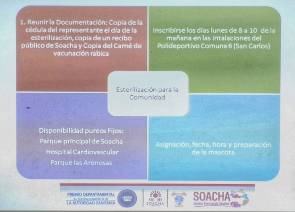 Ingecarlosmora's tweet photo. 🗣🐶😸
Nos reunimos con los #Animalistas, lideres comunales y el gremio veterinario junto con la @Secsaludsoacha con el fin de buscar estrategias a favor de nuestros animales.

#Animalistas #Concientización #Equipo #ComunicaciónAcertiva #Soacha #Suacha 😸🇵🇱👍🏼 https://t.co/7CO3uEnBAz