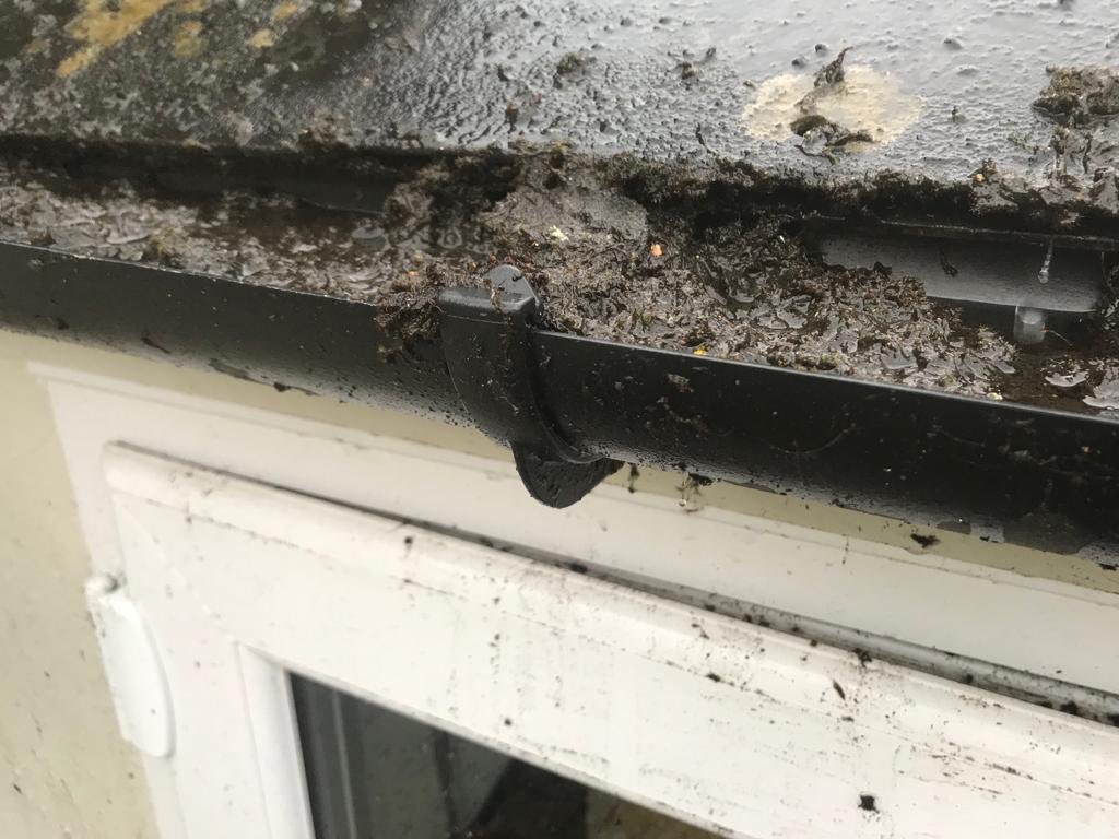 property_ready's tweet photo. Went into work this morning, happy, came home and this shower of shit has bought @MultitaskingTan to tears ! #Cheltenham oh joy when I come home and have to clean my cottage . Cleaning my neighbours house ! Fcked mine in the process ! #spittingbullets #shocking #google ! https://t.co/jFddIDLNZD