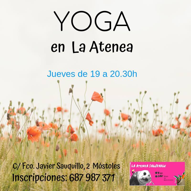Llega la primavera y qué mejor forma de florecer que cuidando cuerpo y mente a través del Yoga!! 🌸🌻🌹

Las clases serán impartidas por Luis Luengo y Beatriz Núñez (en jueves alternos).

Nos alegrará verte! 😀
#Mostoles