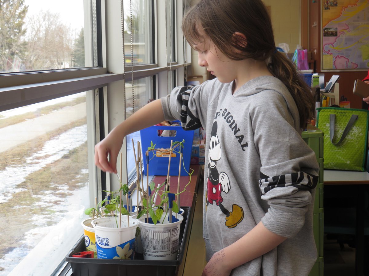 5mlClasse's tweet photo. L'entretient des plantes supervisé par Sophie! #systèmeaquaponique #plantes #projet 🌱🌊😁 https://t.co/qXSBDr78xd