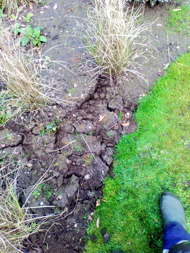 natepix1's tweet photo. #RemedialWork:
Shoddy landscapers had left my client with lovely curved borders after turf lifting but left them with hard beds not rotovated or dug and the low paid east european labourers had no knowledge of where and how to plant shrubs. First visit of many😤
I'd complain 😡 https://t.co/mxwGmH5FEp