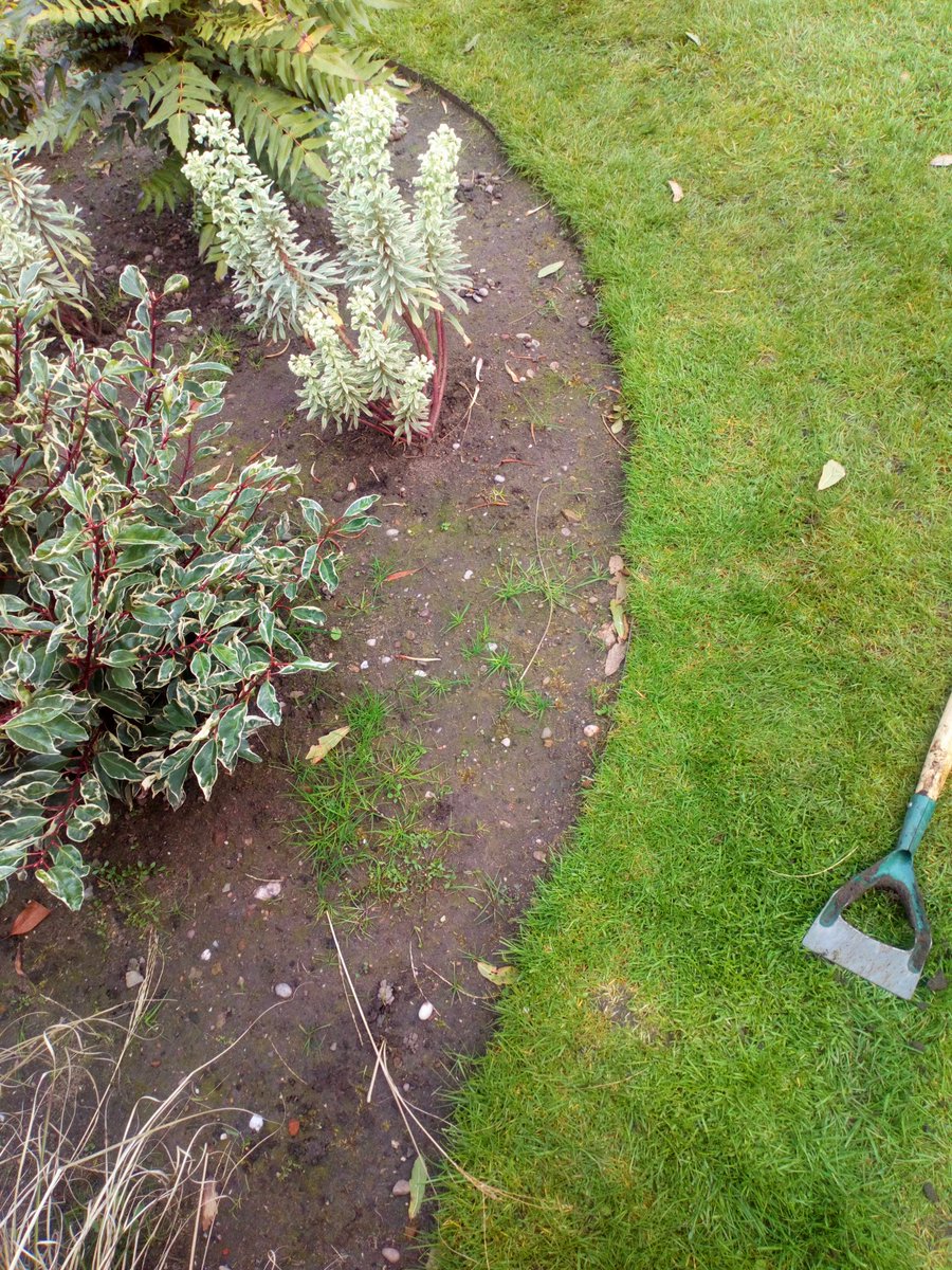 natepix1's tweet photo. #RemedialWork:
Shoddy landscapers had left my client with lovely curved borders after turf lifting but left them with hard beds not rotovated or dug and the low paid east european labourers had no knowledge of where and how to plant shrubs. First visit of many😤
I'd complain 😡 https://t.co/mxwGmH5FEp