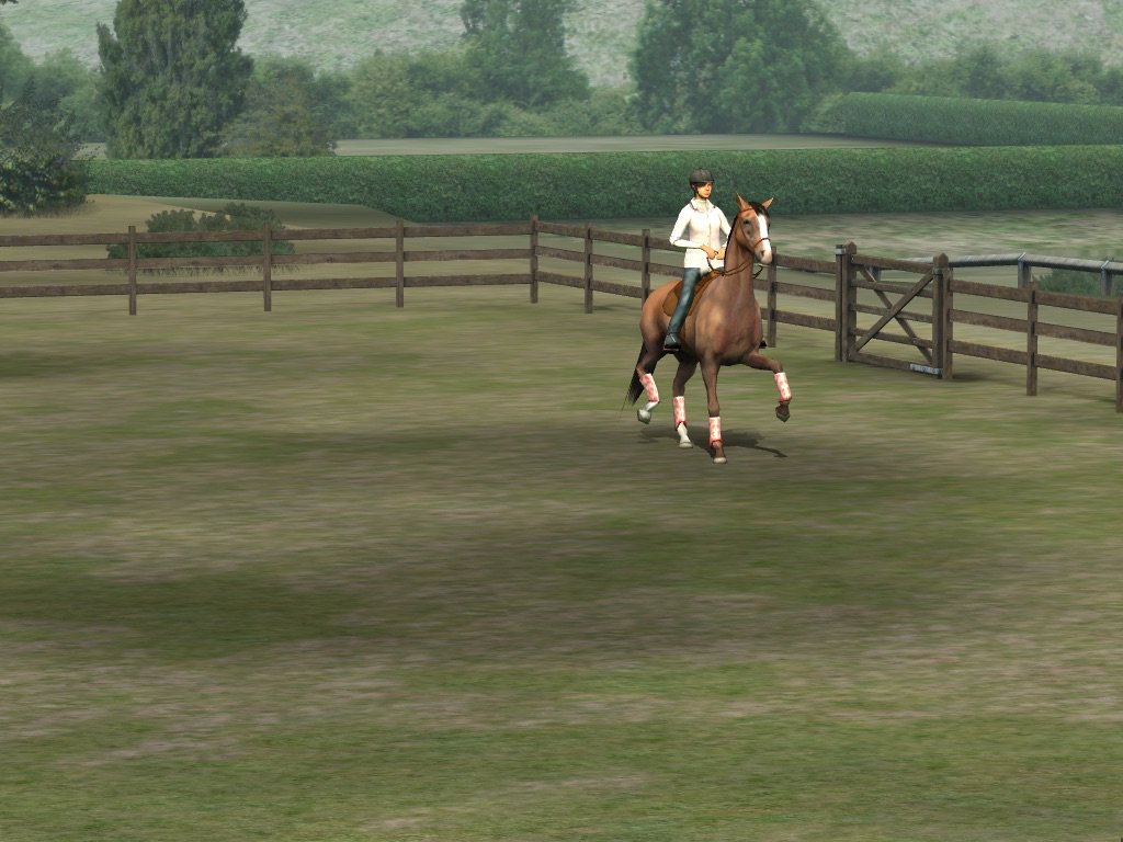 Vera van Ham tweet media