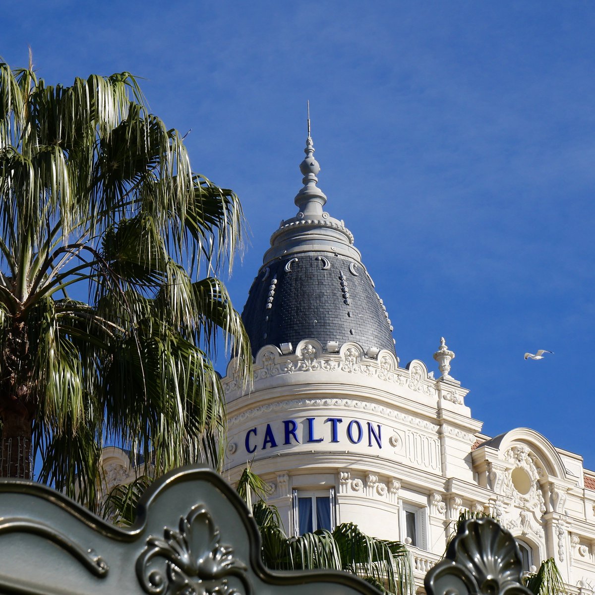 article indefini tweet media