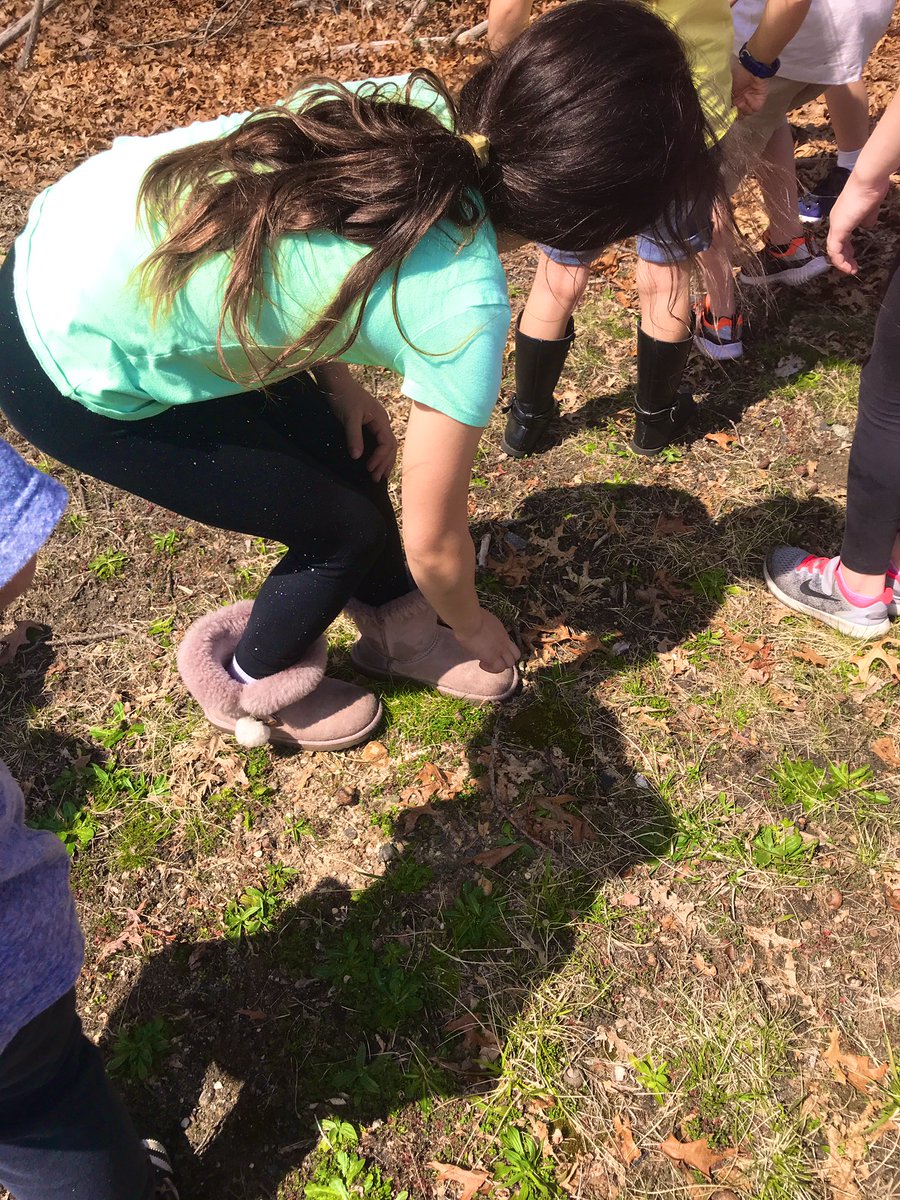 Alyssa Ridente tweet media