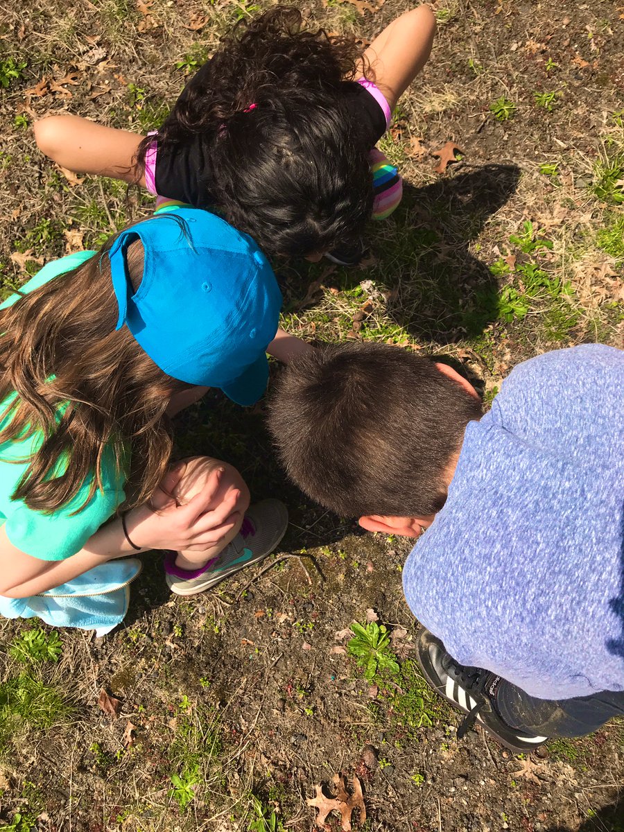 Alyssa Ridente tweet media