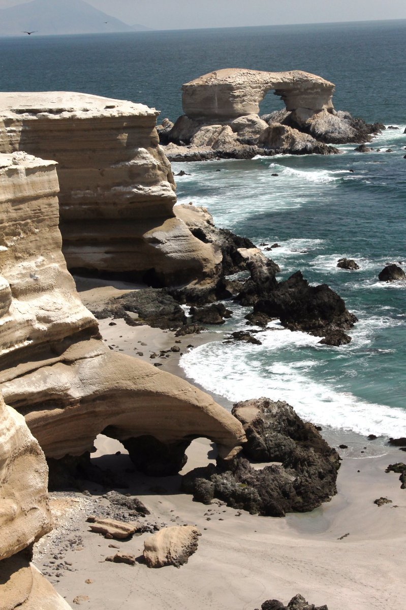 CONAFantof's tweet image. #CONAFAntofagasta | Están todos invitados a la ceremonia para celebrar los 29 años de vida del Monumento Natural La Portada este miércoles 10 de abril, de 11:00 a 12:30, en la Biblioteca regional de #Antofagasta. ➡️Anunciaremos muchas actividades 😱 ¡No te lo pierdas! 🌊🐧