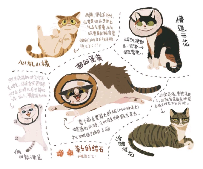 蛋黄和它的小病友 