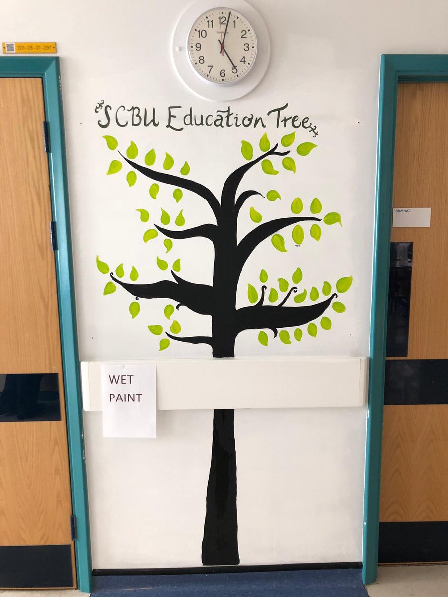 amandapearson_'s tweet photo. A massive thank you to Sarah Packham, preceptorship midwife, who has painted these trees and Anne Gardner (PDM) for the brilliant idea of showing our increasing compliance with mandatory training  @IoWNHSTrust @Annilou6 @pennell_jo @ChiefExecIOWNHS @promptmaternity @JudyDyos https://t.co/iZxnJ4RSxn