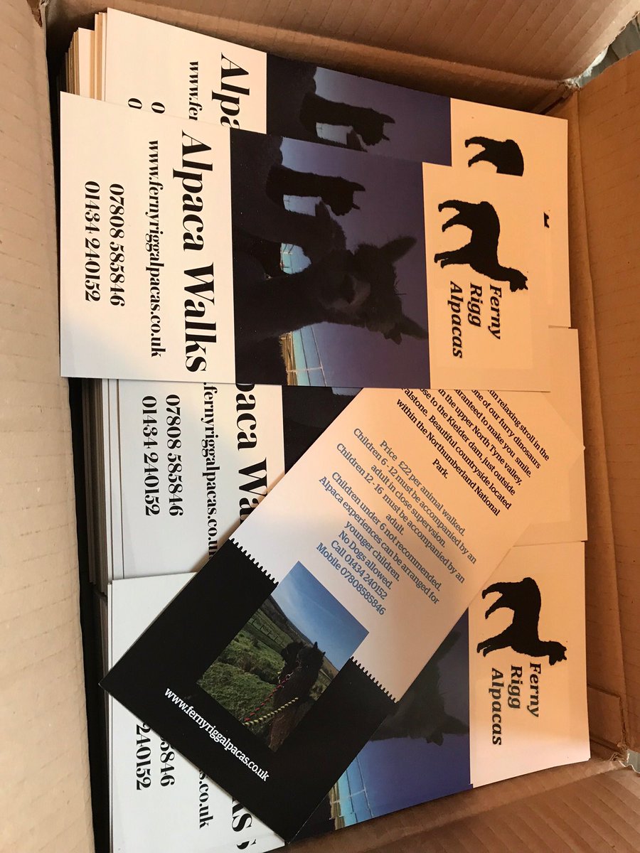 Promotional flyers arrived today, quite pleased with the quality from helloprint.co.uk/?utm_nooverrid…

This is us #fernyriggalpacas
fernyriggalpacas.co.uk