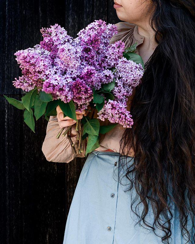 fareisle's tweet photo. Throwback lilacs for a rainy Monday ✨☔️🌸 Lilacs are one of my absolute favorites! And they are edible too. .
#aprilshowersbringmayflowers #fareisle #lilacs #edibleflowers #foraged #nantucket #pursuepretty #verytandc #mydomaine #eattheseasons #springf… https://t.co/tRGtB9nzyg https://t.co/Q2Zi5c1CIU