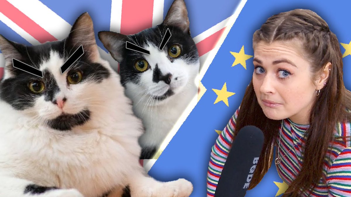 BREXIT: wtf is going on? 🐱 Cats have the answers.

youtu.be/zGGdGWepjoA <a href="/LadyDinahsCats/">Lady Dinah's Cats</a>