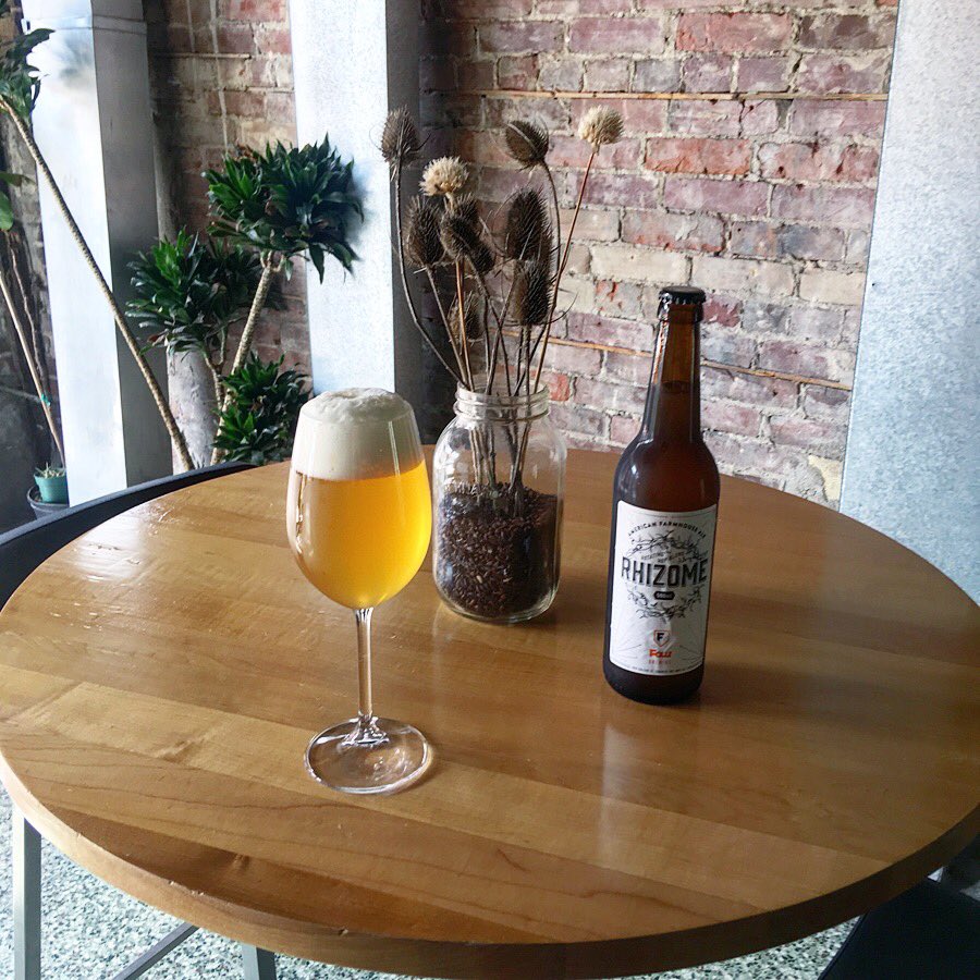 New Rhizome! This time featuring Hallertau Mittelfrüh and Hersbrucker for subtle floral and woody notes. We’ve also started naturally carbonating Rhizome with this batch, which has allowed our yeast blend to express itself further with notes of lemon, lime, strawberry, and hay.