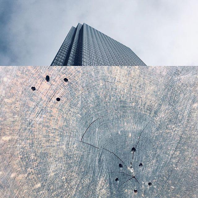 robtovey's tweet photo. Collage_04_ / Canary Wharf / distressed wood / #collage #illustrationoftheday #graphicdesign #modernism #minimalism #architecture_minimal #architecture_lovers https://t.co/wzYqXTKG9R https://t.co/Dpgj1XqpfO