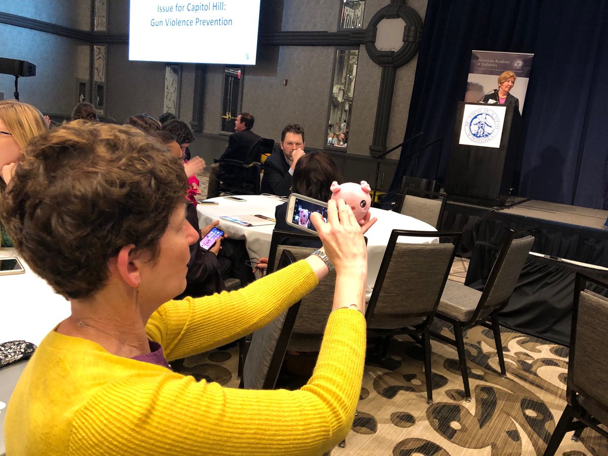 AAPAlaska's tweet photo. ⁦@greenhousemd⁩ makes sure South Carolina Pig has a good view of the #AAPLegCon2019 plenary session on our issues for Capital Hill: 1. $50M for research on gun violence prevention and 2. Sensible background checks. https://t.co/0YYsf3DMHn
