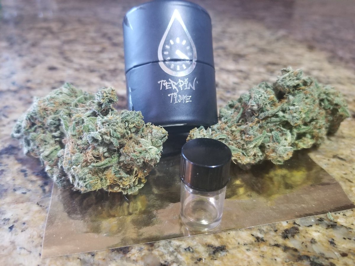 Crypto_KeeperX's tweet photo. Today's a good day to have a good day and I truly hope that's what you are doing.
Happy Monday Twitter.
https://t.co/dASgWRusoD
#terpenes #Terps #terpintime https://t.co/wNYUD7DBzw