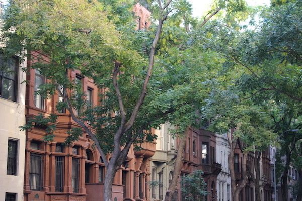 TracyKaler's tweet photo. A Short Guide to the #UpperWestSide: https://t.co/vL1BeUqXYM #UWS @westsiderag #NewYork #Travel #Uptown #WestSideLife https://t.co/MDfu6oonuN