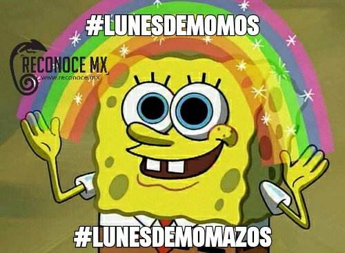 CinemaTempo's tweet photo. ¡Es #LunesDeMomos, #LunesDeMomazos! 🤣👊🏽 

¡Todo suyo! Abrimos hilo. 👇🏽👌🏽 https://t.co/VFFUfk8P93