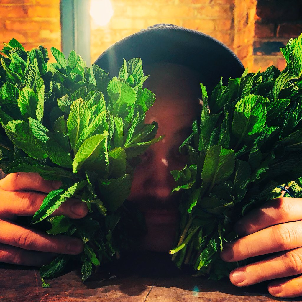 Monday BOGOF! This is our head bartender, Mike, hiding away in a mint forest. Mike doesn’t like mint forests, so we’re offering our East Side Fizz 2-4-1 tonight. Gin, mint, cucumber, lemon, sugar, soda. Open now. See you soon!