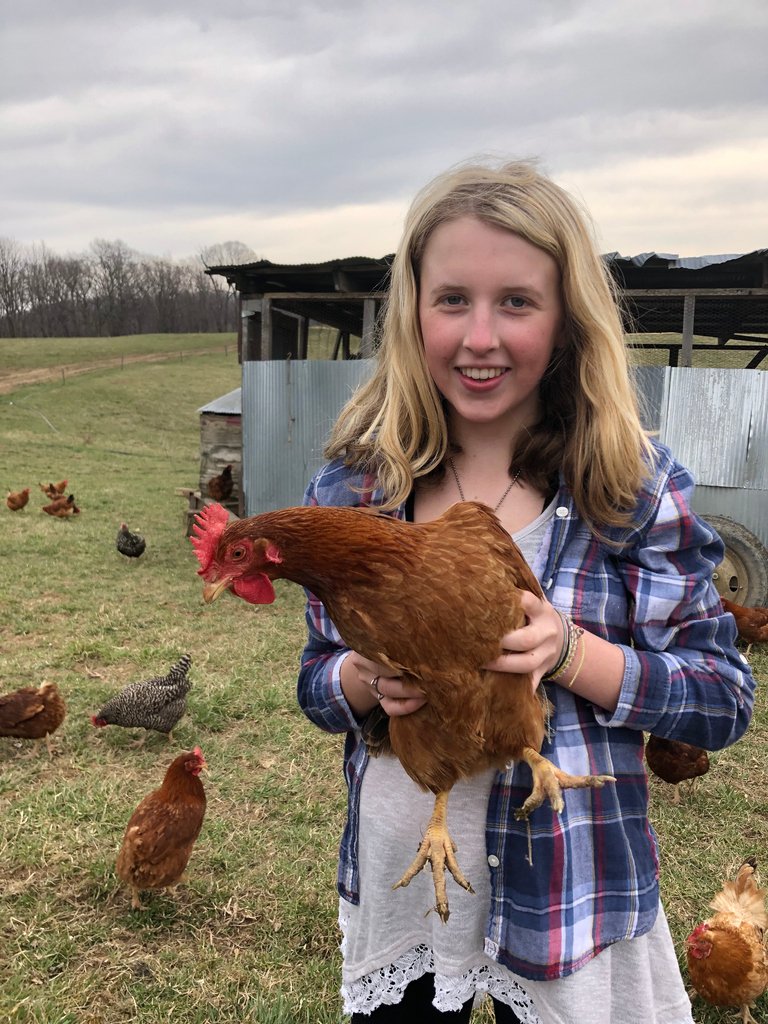 Trinity_RVA's tweet photo. Students in #IB Biology and Sustainability Systems took a trip to #PolyfaceFarm in Swoope, VA last week. Known internationally as a leader in regenerative practices in sustainable agriculture, the farm raises pigs, chickens, rabbits, ducks, turkeys, eggs and cattle. https://t.co/Frcd9j0zuq