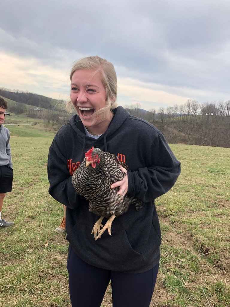 Trinity_RVA's tweet photo. Students in #IB Biology and Sustainability Systems took a trip to #PolyfaceFarm in Swoope, VA last week. Known internationally as a leader in regenerative practices in sustainable agriculture, the farm raises pigs, chickens, rabbits, ducks, turkeys, eggs and cattle. https://t.co/Frcd9j0zuq
