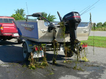 INFishWildlife's tweet photo. #AquaticInvasive species are transported many different ways in Indiana. One of the most common ways species are introduced is by boat. When a boat or other watercraft isn’t cleaned between visits to different waterbodies, aquatic invasives can hitch a ride. https://t.co/FCRjDYjMUa