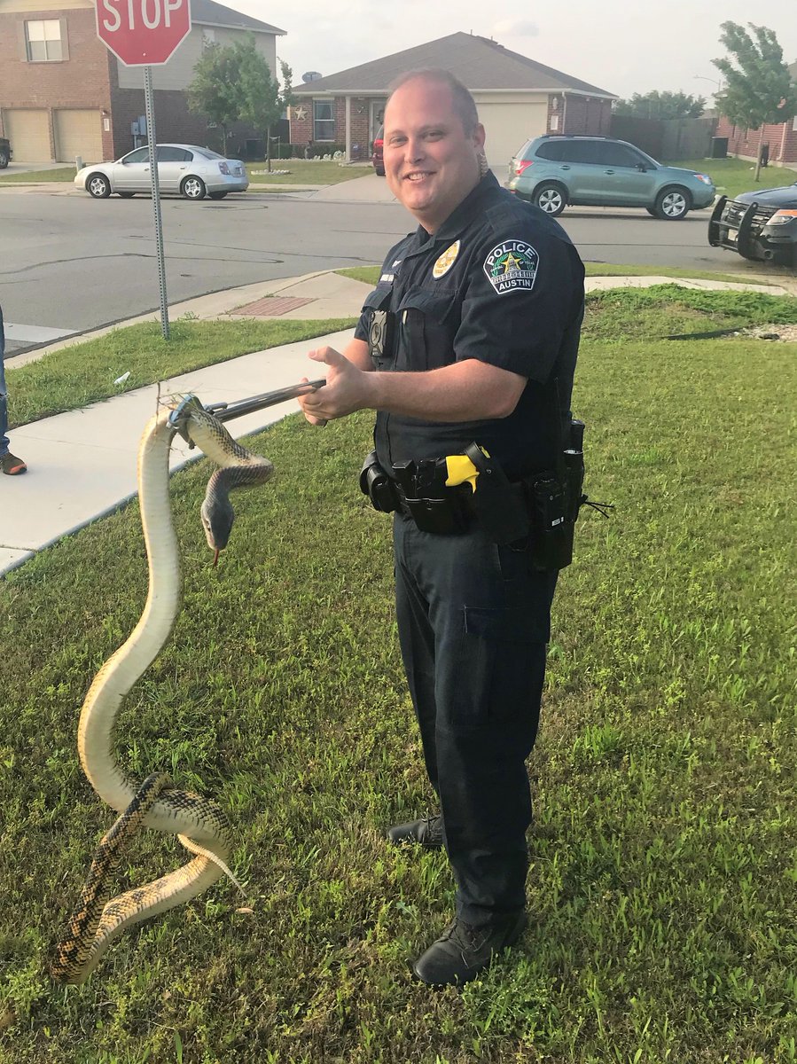 Austin Police Department tweet media