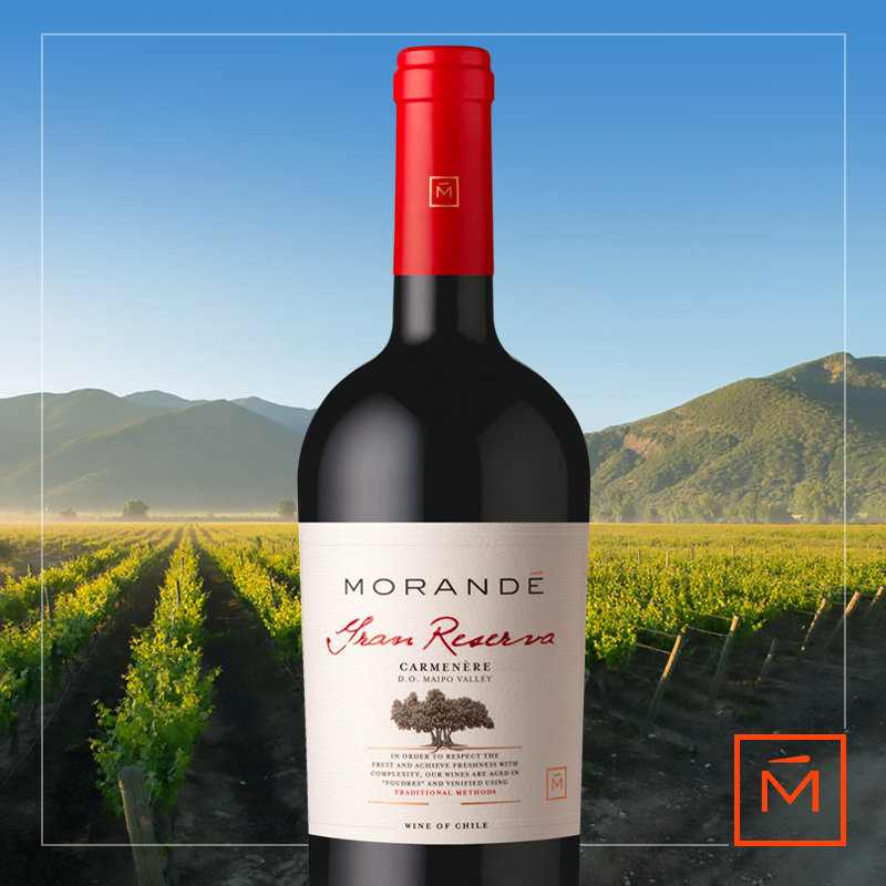 En el Valle del Maipo encontrarás la mayor tradición vitivinícola de Chile. Su clima templado, con un verano seco y caluroso. Es una zona casi libre de heladas y las lluvias se concentran entre los meses de Abril y Septiembre. ¿Te animas?

#VinosdeChile #ChileWines